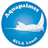 logo-aquapalmes2 2